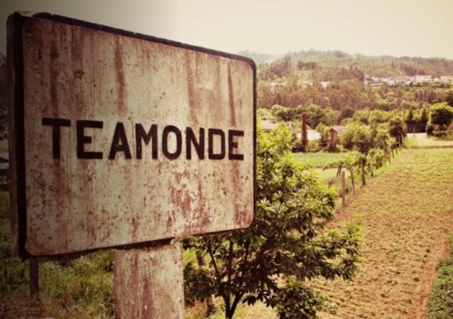 Escola de Teamonde volta a pôr Vale de Cambra e Oliveira de Azeméis em rota de colisão